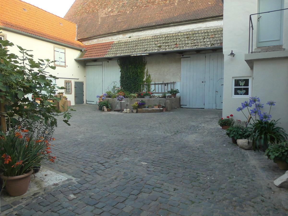 Gaestezimmer Mittelgasse Florsheim-Dalsheim Экстерьер фото